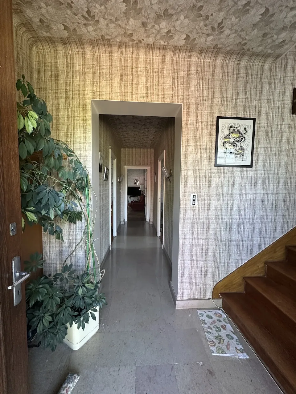 Belle maison familiale à Chauffailles avec grand terrain et dépendances 