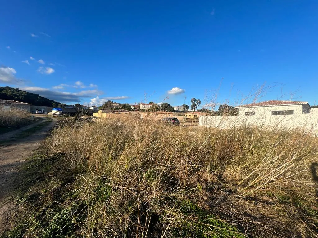 Terrain constructible viabilisé de 850 m² à Isolaccio-Di-Fiumorbo 