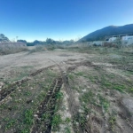 Terrain constructible viabilisé de 850 m² à Isolaccio-Di-Fiumorbo