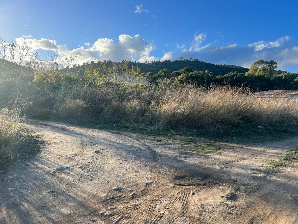 Terrain constructible viabilisé de 850 m² à Isolaccio-Di-Fiumorbo 