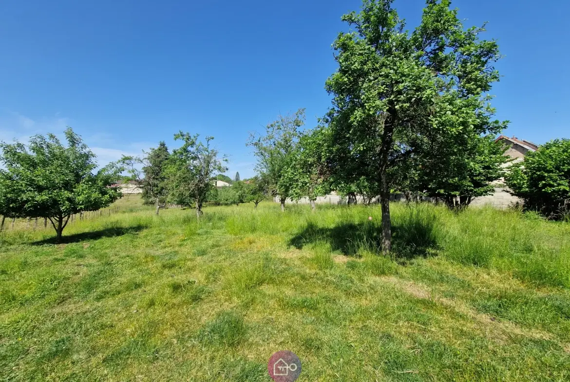 Maison à vendre avec potentiel exceptionnel à Pomoy (70) - Grand terrain et dépendances 