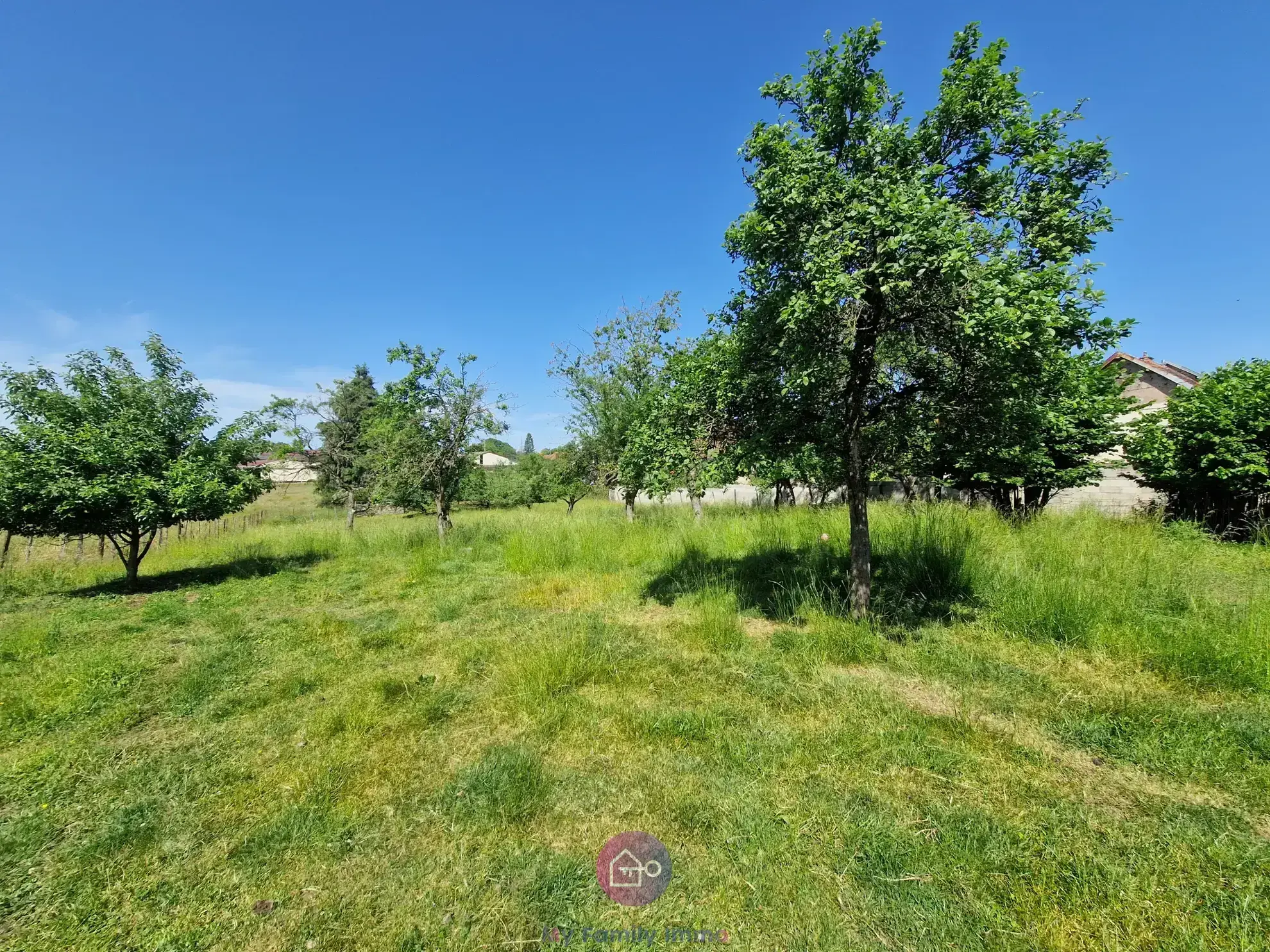 Maison à vendre avec potentiel exceptionnel à Pomoy (70) - Grand terrain et dépendances 