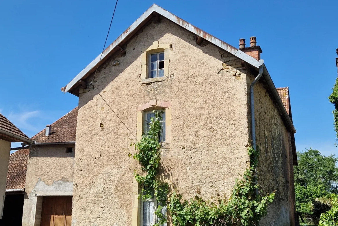 Maison à vendre avec potentiel exceptionnel à Pomoy (70) - Grand terrain et dépendances 