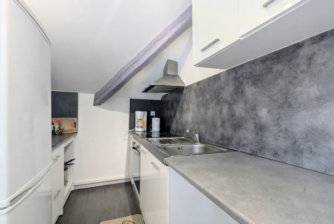 Bel appartement T4 à Troyes avec vue sur la cathédrale, lumineux et rénové 