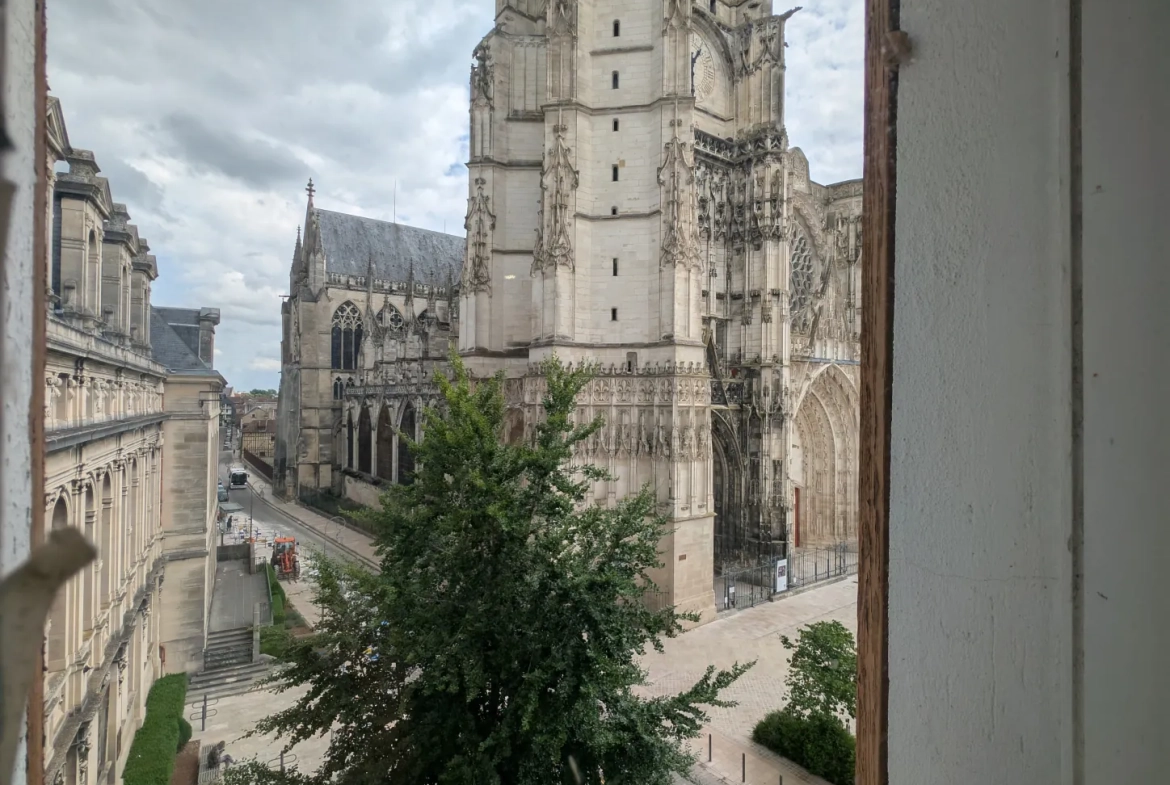 Bel appartement T4 à Troyes avec vue sur la cathédrale, lumineux et rénové 