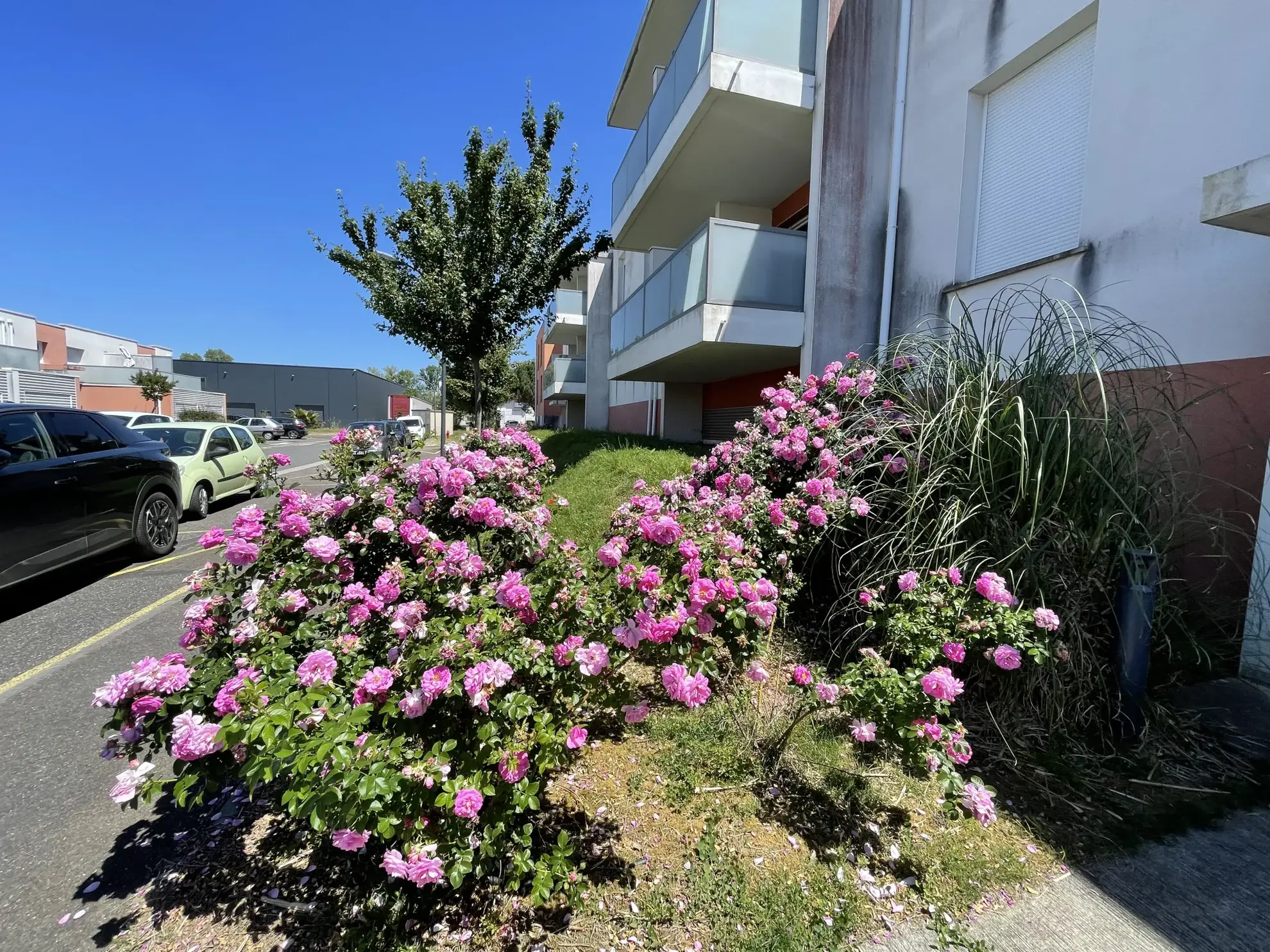 Achat appartement T2 lumineux avec balcon et parking à Bruges 