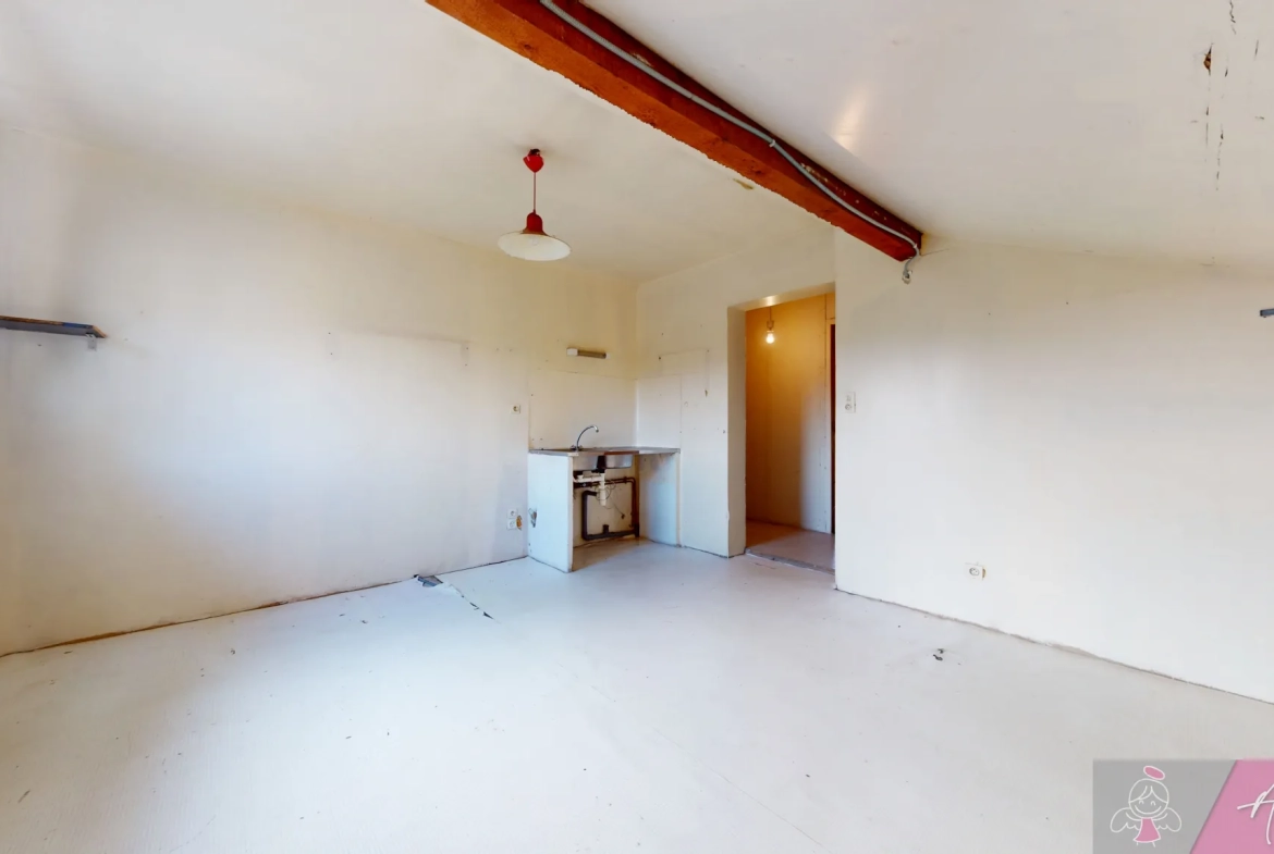 Grande maison de 208m² avec appartement indépendant à Routelle proche Saint Vit 