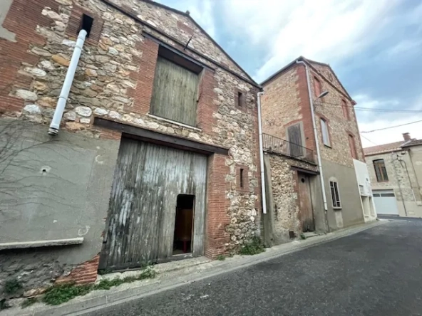 Opportunité d'investissement : Grange à rénover à Fourques (66300)