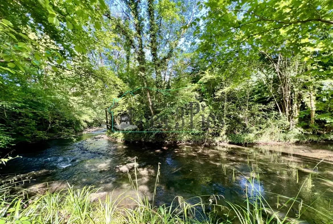 Maison en pierre avec vue montagne et rivière en Vallée de l'Arbas 
