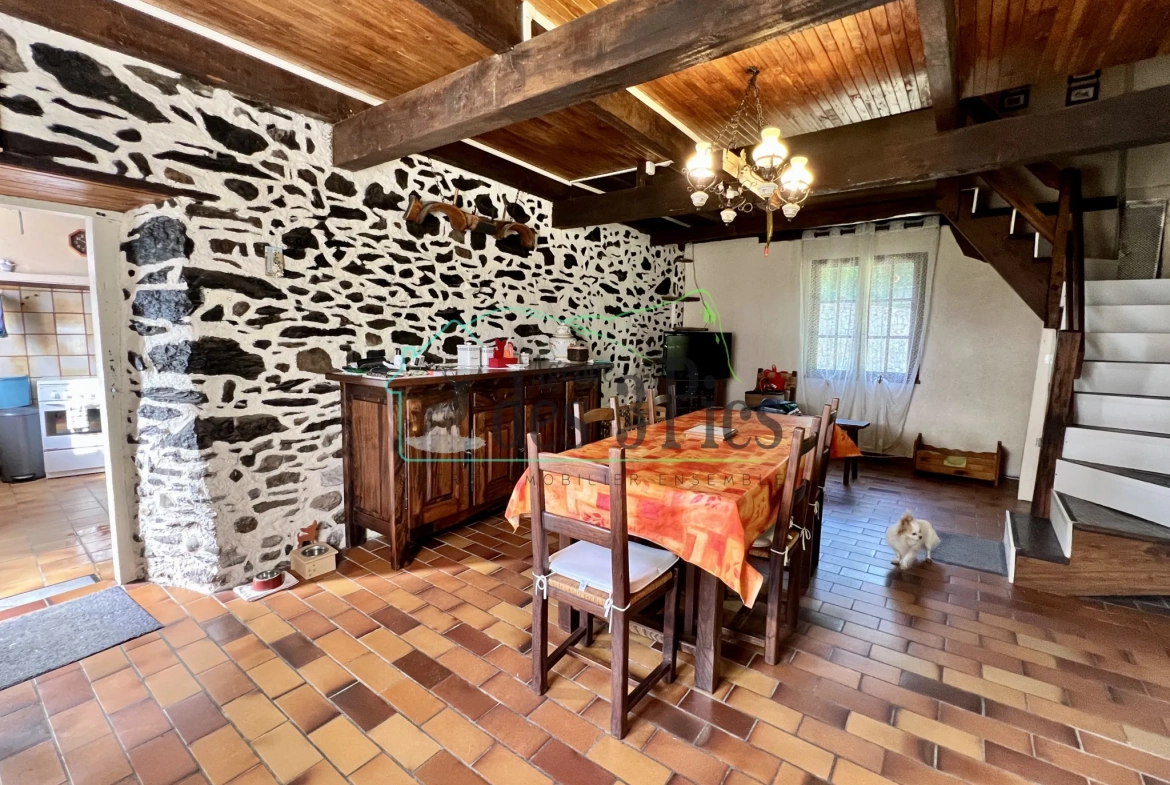 Maison en pierre avec vue montagne et rivière en Vallée de l'Arbas 