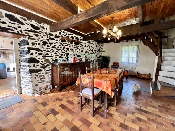 Maison en pierre avec vue montagne et rivière en Vallée de l'Arbas