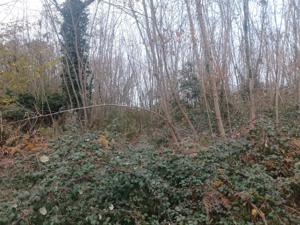 Terrains à bâtir à Meyrals (24) - Parcelles constructibles avec proximité des services