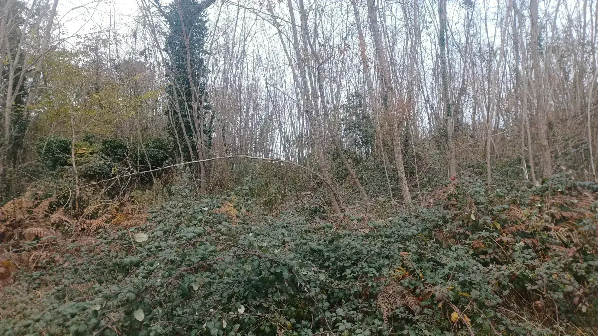 Terrains à bâtir à Meyrals (24) - Parcelles constructibles avec proximité des services 