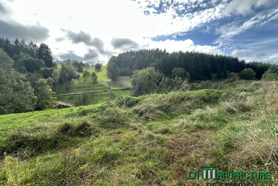 Terrain constructible de 908 m² à Saint-Just-Malmont, Exposition sud-ouest 