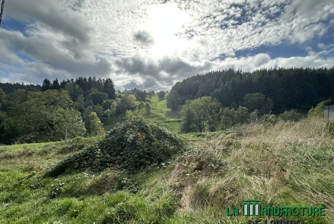 Terrain constructible de 908 m² à Saint-Just-Malmont, Exposition sud-ouest 
