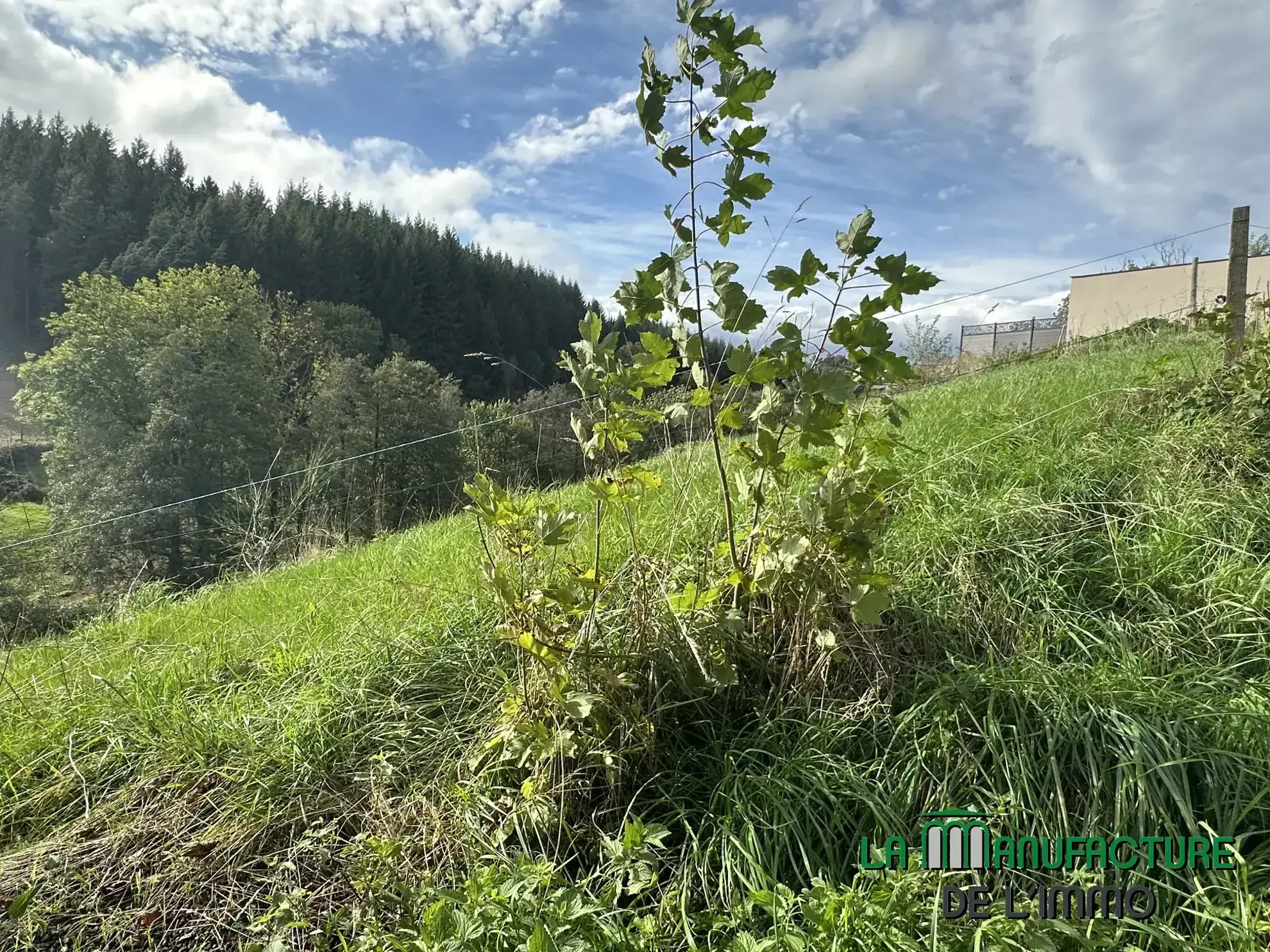 Terrain constructible de 908 m² à Saint-Just-Malmont, Exposition sud-ouest 