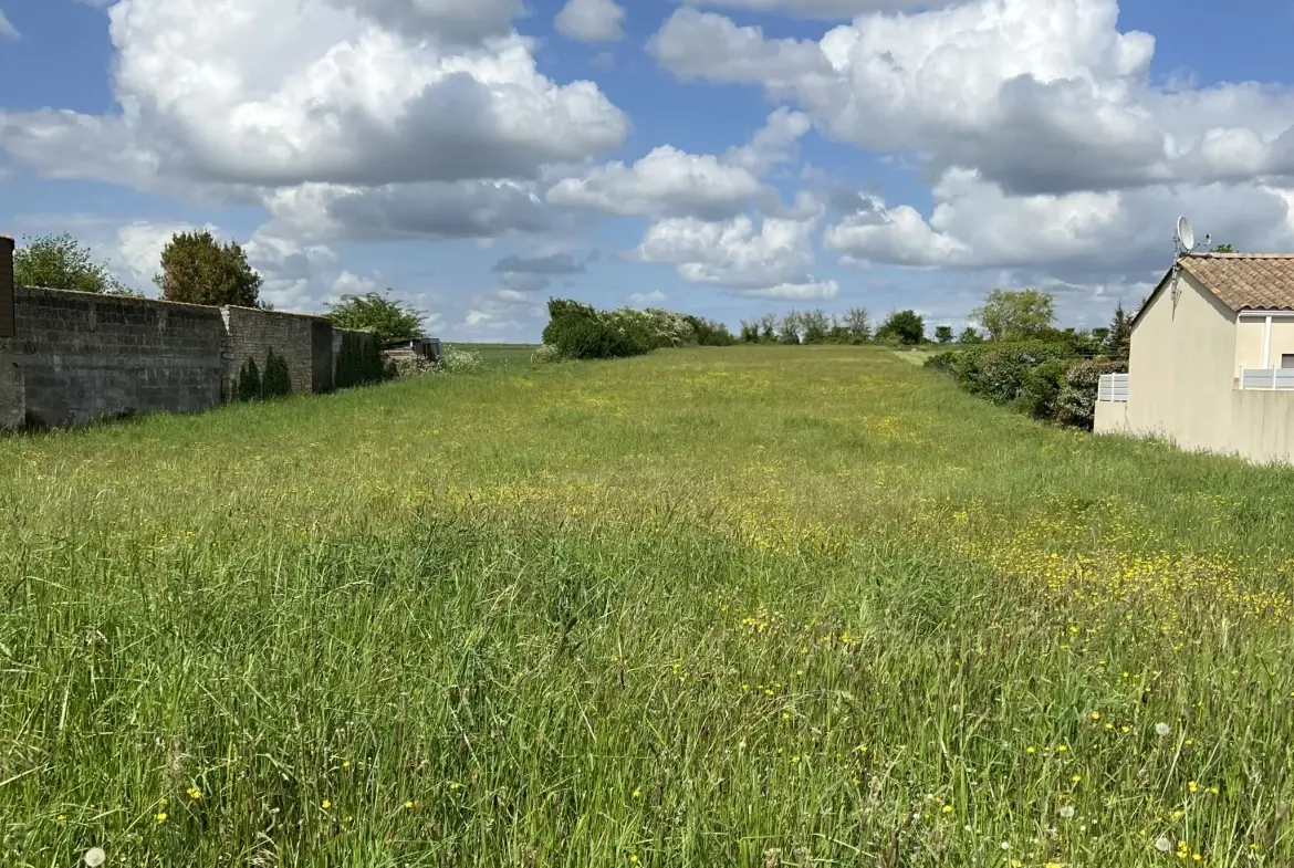Superbe terrain constructible à Saint Aubin La Plaine, proche Sainte Hermine 