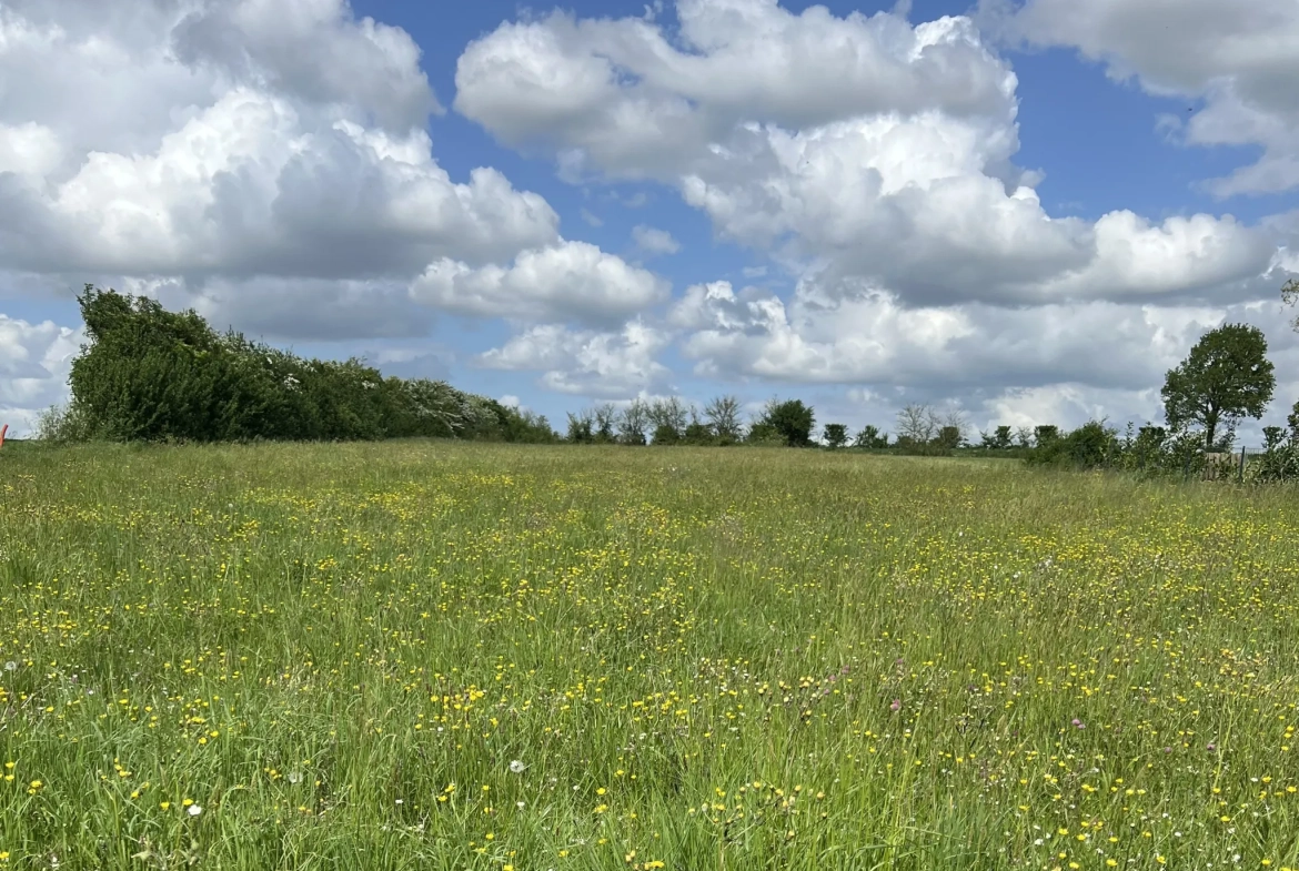 Superbe terrain constructible à Saint Aubin La Plaine, proche Sainte Hermine 