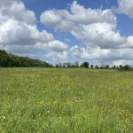 Superbe terrain constructible à Saint Aubin La Plaine, proche Sainte Hermine