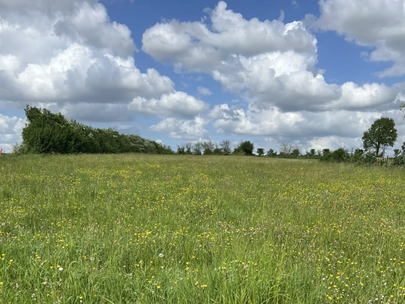 Superbe terrain constructible à Saint Aubin La Plaine, proche Sainte Hermine