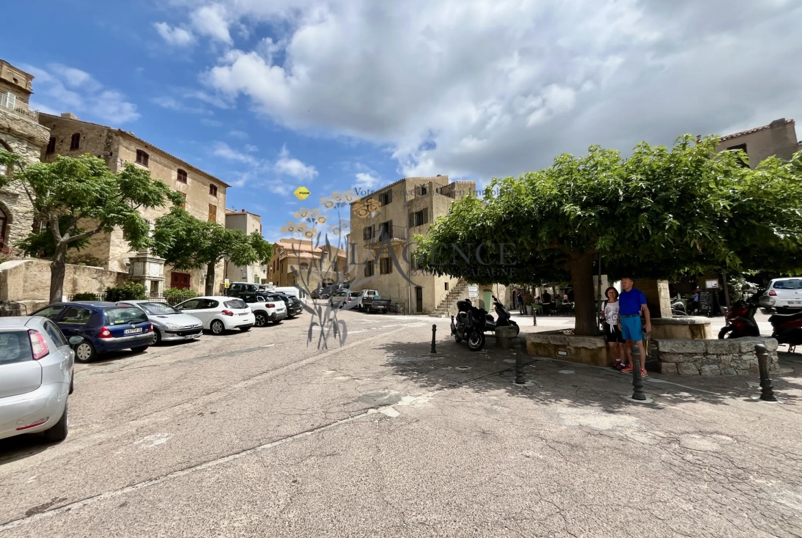 Maison de village historique à Speloncato avec vue mer et montagne 