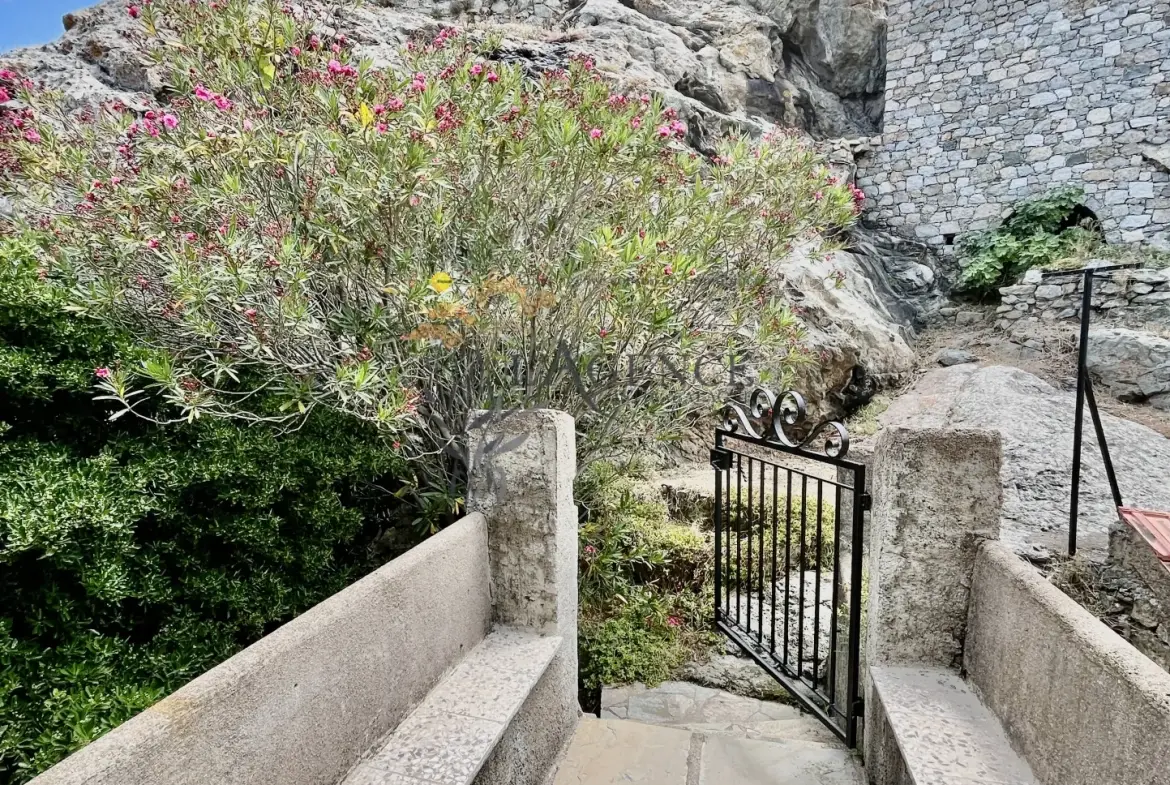 Maison de village historique à Speloncato avec vue mer et montagne 