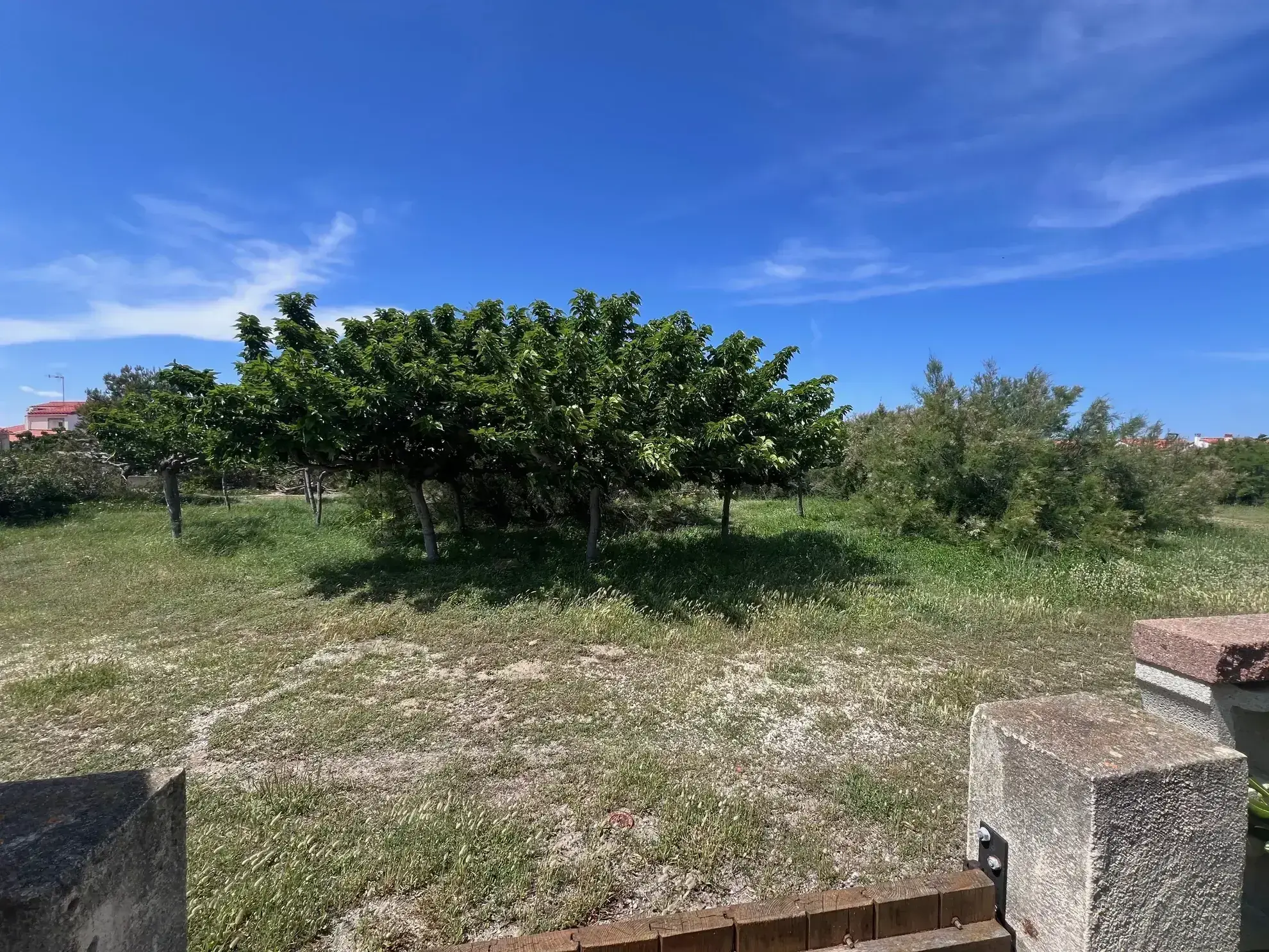 Charmante maison 3 pièces avec mezzanine et jardin au Barcarès en vente 