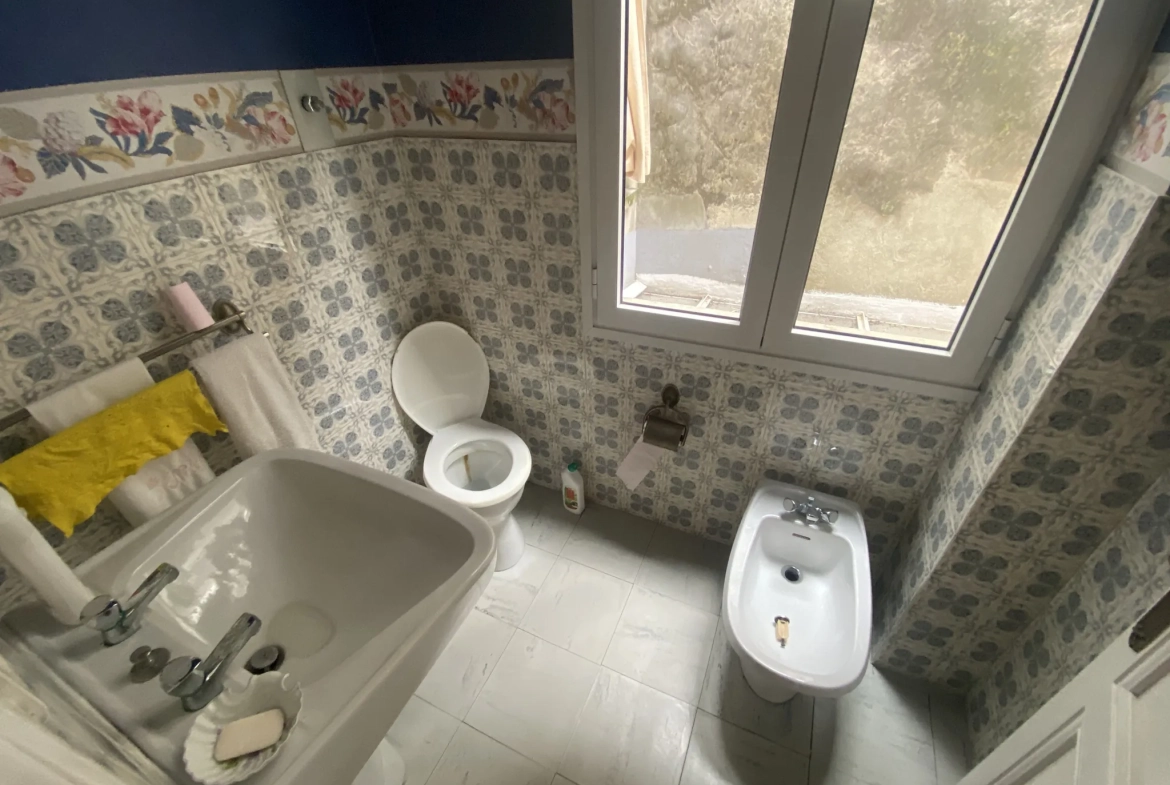 Immeuble de ville de 250 m² avec terrasse et local commercial à La Réole 
