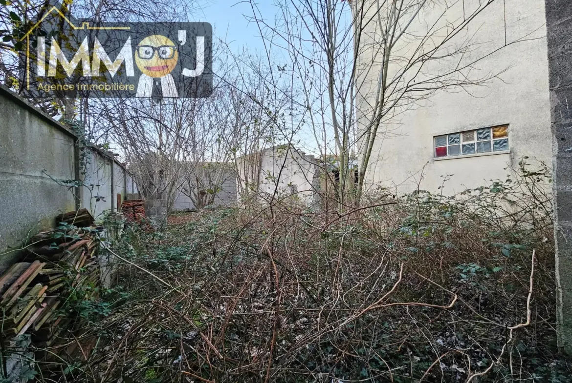 Maison ou immeuble à Nancy avec grand potentiel, jardins et vue canal 