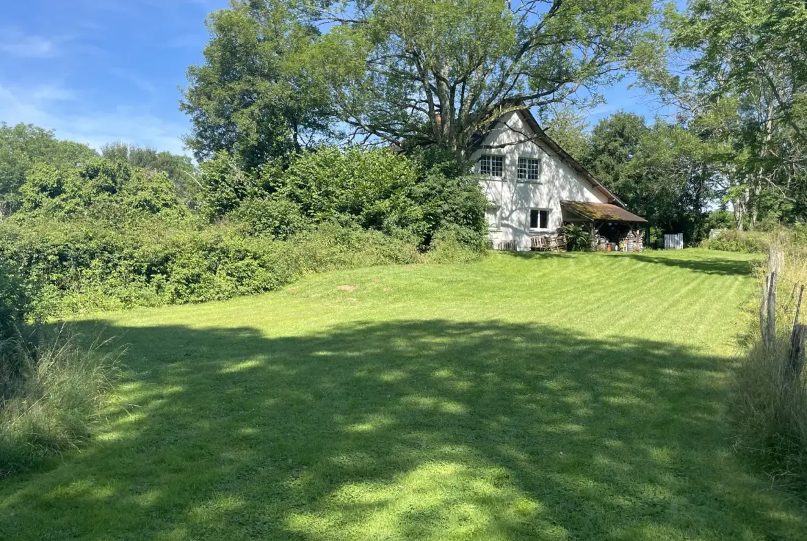 Magnifique maison de plain-pied de 285 m² avec grands terrains à Premery 