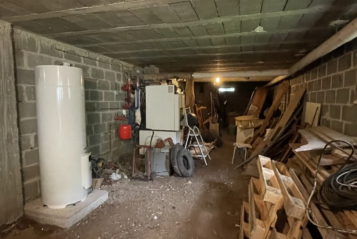 Magnifique maison de plain-pied de 285 m² avec grands terrains à Premery 