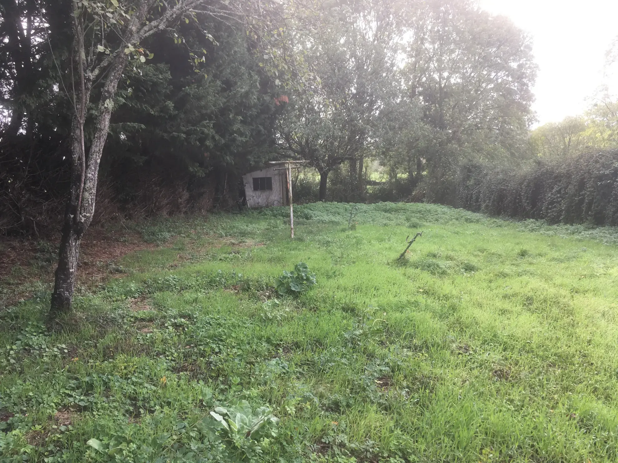 Ensemble immobilier avec deux maisons, dépendances, vue rivière à Marillet en Vendée 