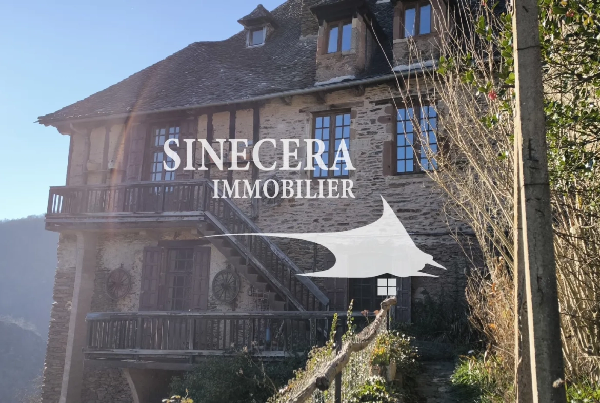 Maison de charme en pierre avec vue panoramique à Conques-en-Rouergue 