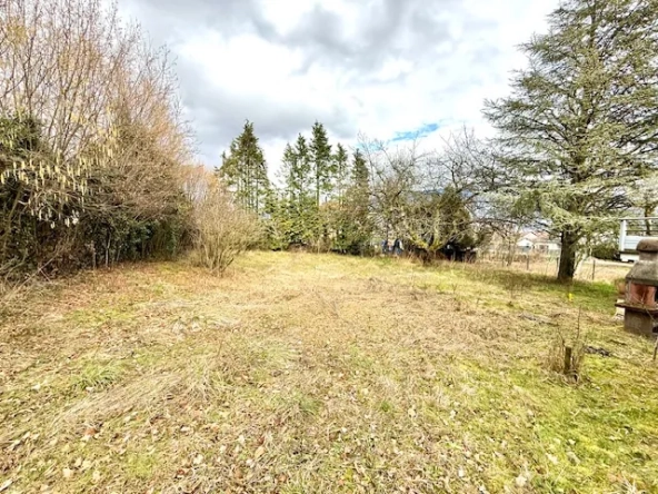 Terrain constructible de 783 m² à Ochiaz-Valserhone - Idéal pour projet résidentiel