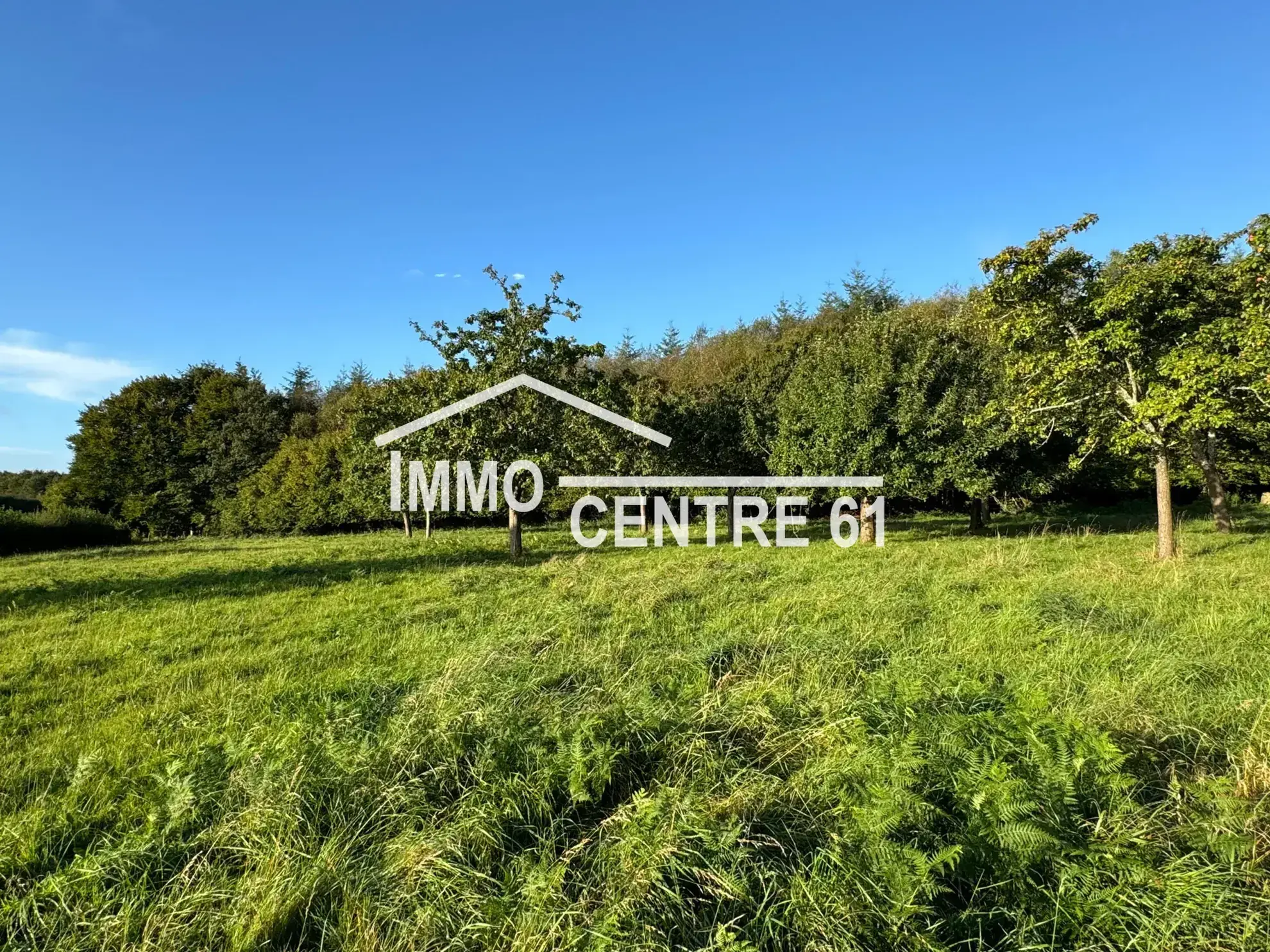 Maison de campagne avec dépendances en vente à Carrouges 61320 