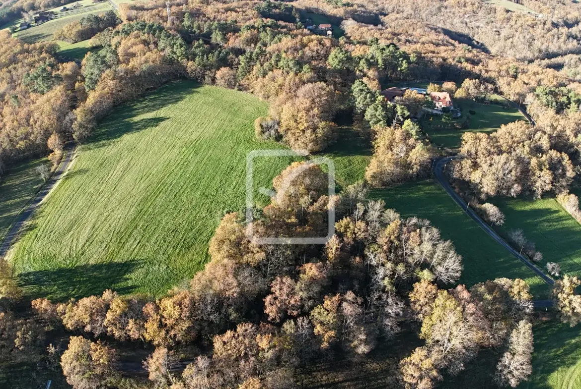 Terrain de 36 348 m² à vendre au cœur du Périgord Noir, zone constructible et espace naturel 