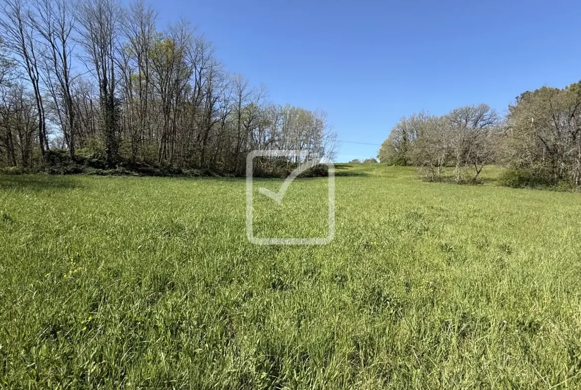 Terrain de 36 348 m² à vendre au cœur du Périgord Noir, zone constructible et espace naturel 