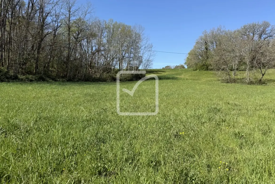 Terrain de 36 348 m² à vendre au cœur du Périgord Noir, zone constructible et espace naturel 