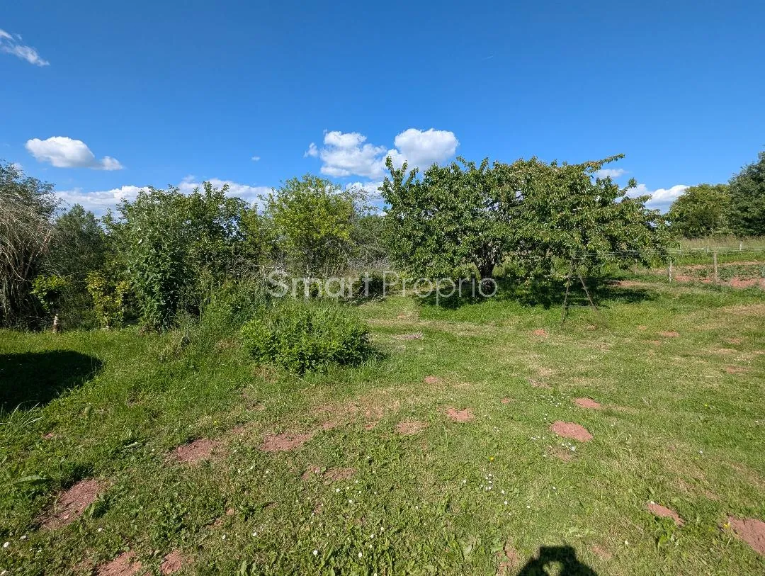 Ancien corps de ferme avec dépendances et grand terrain à Louignac 