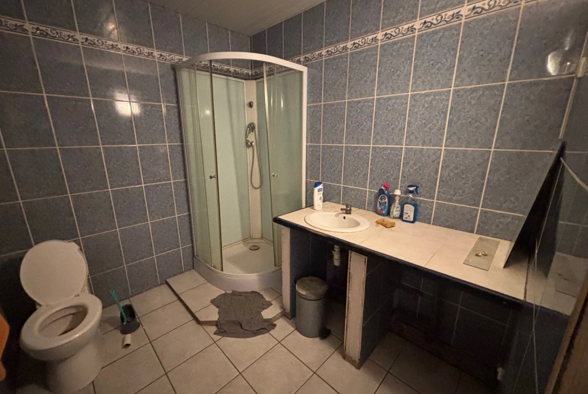 Maison à rénover avec 7 chambres à Buzet-sur-Baïse – Grande capacité et potentiel 