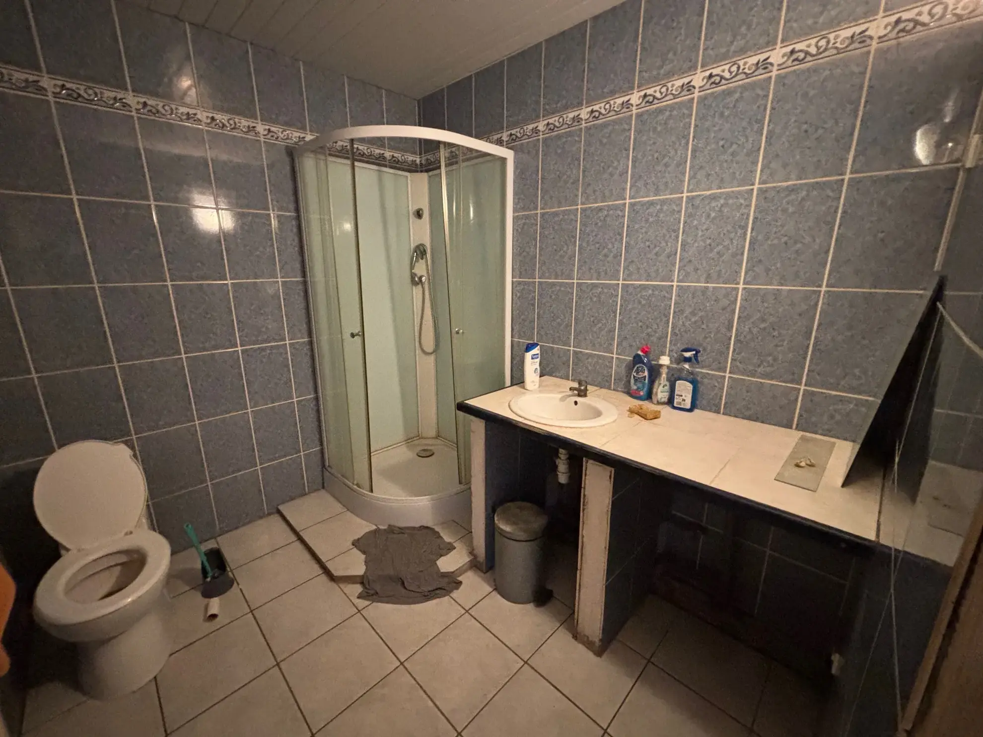 Maison à rénover avec 7 chambres à Buzet-sur-Baïse – Grande capacité et potentiel 