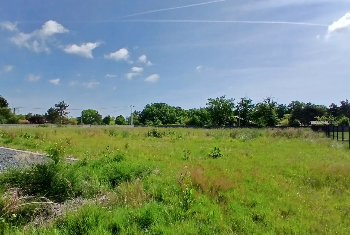 Terrain à bâtir de 1490 m² à Orléat – Viabilisé etConstructible 