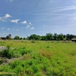 Terrain à bâtir de 1490 m² à Orléat – Viabilisé etConstructible