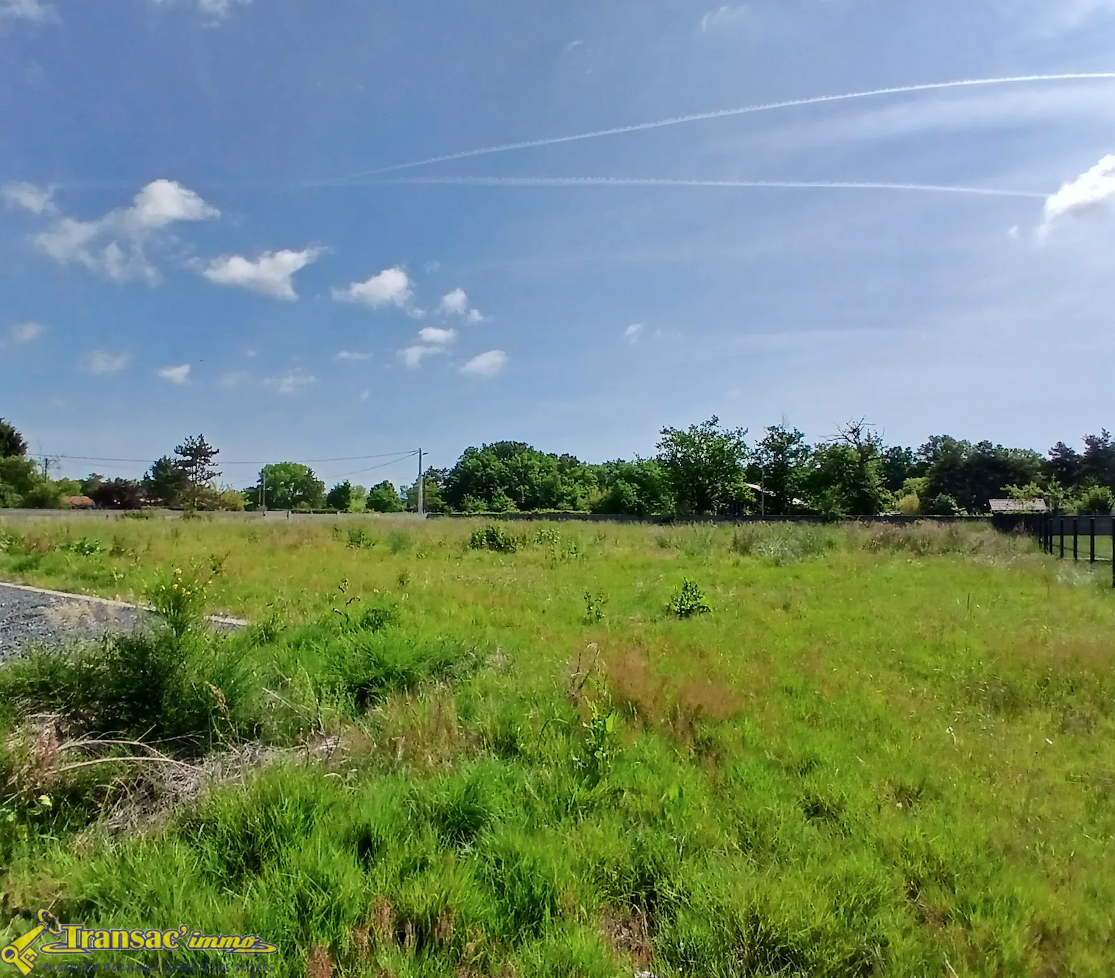 Terrain à bâtir de 1490 m² à Orléat – Viabilisé etConstructible 