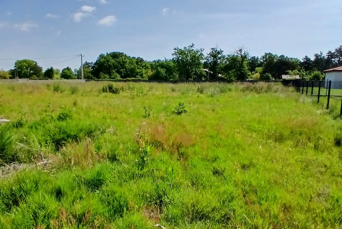 Terrain à bâtir de 1490 m² à Orléat – Viabilisé etConstructible 