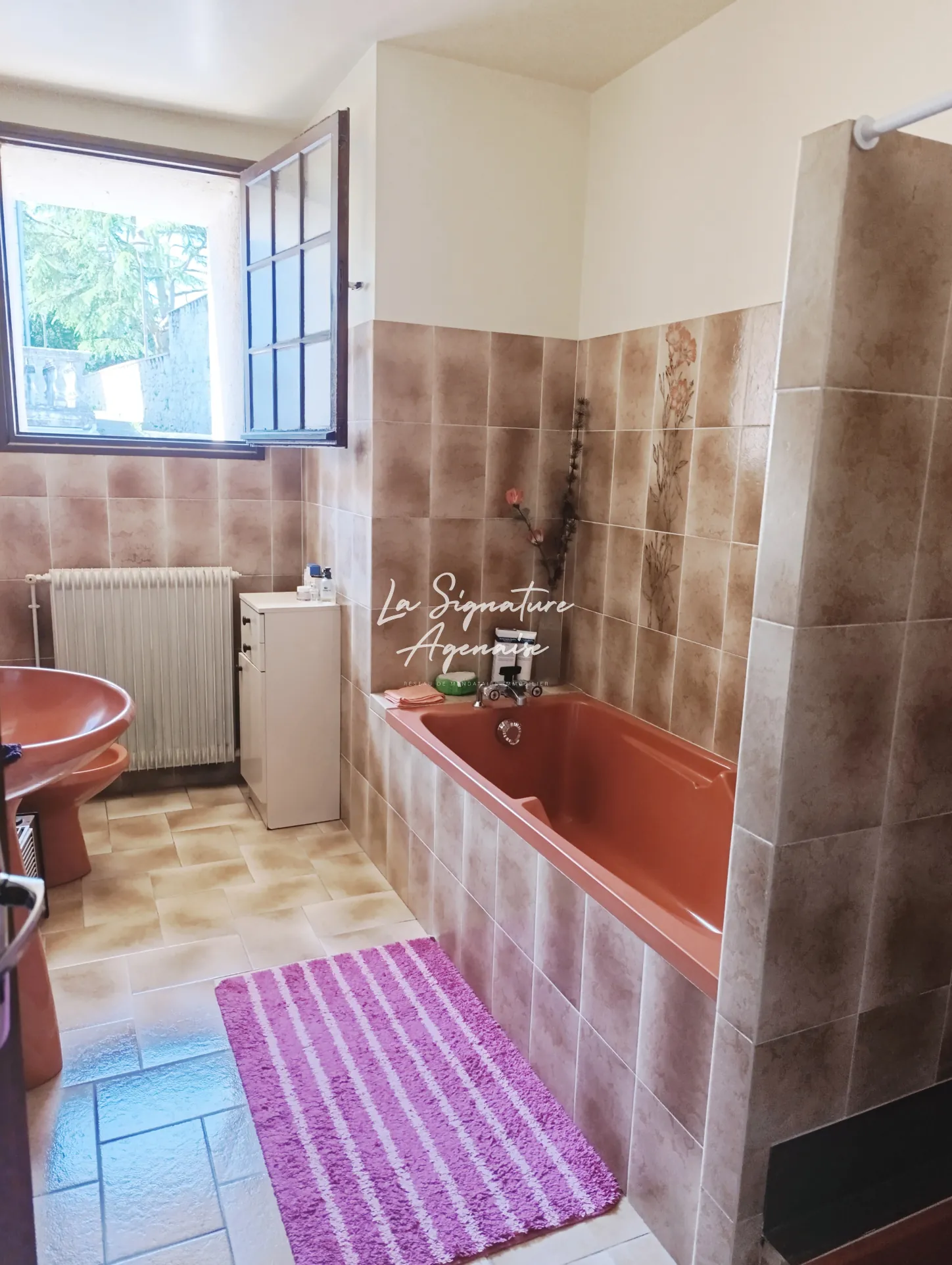 Grande propriété de 225,50 m² avec terrain, dépendances et garage à Sérignac-sur-Garonne 