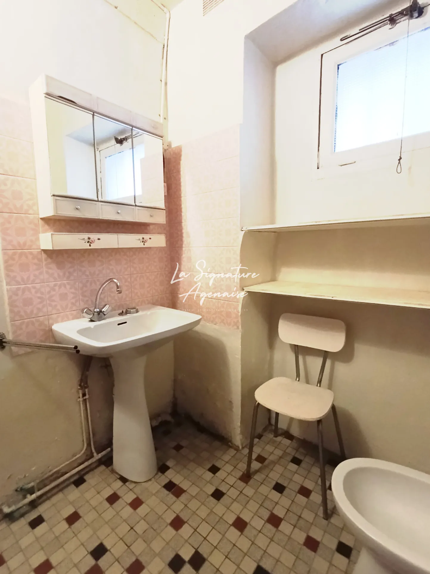 Grande propriété de 225,50 m² avec terrain, dépendances et garage à Sérignac-sur-Garonne 