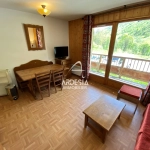 Appartement 2 pièces avec vue montagne à Saint-Sorlin d'Arves
