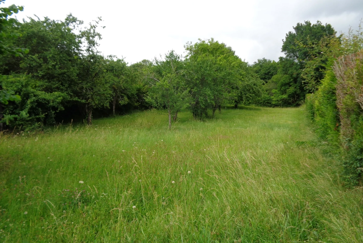 Maison individuelle de 86 m² avec dépendances à Premery, terrain de 2085 m² 