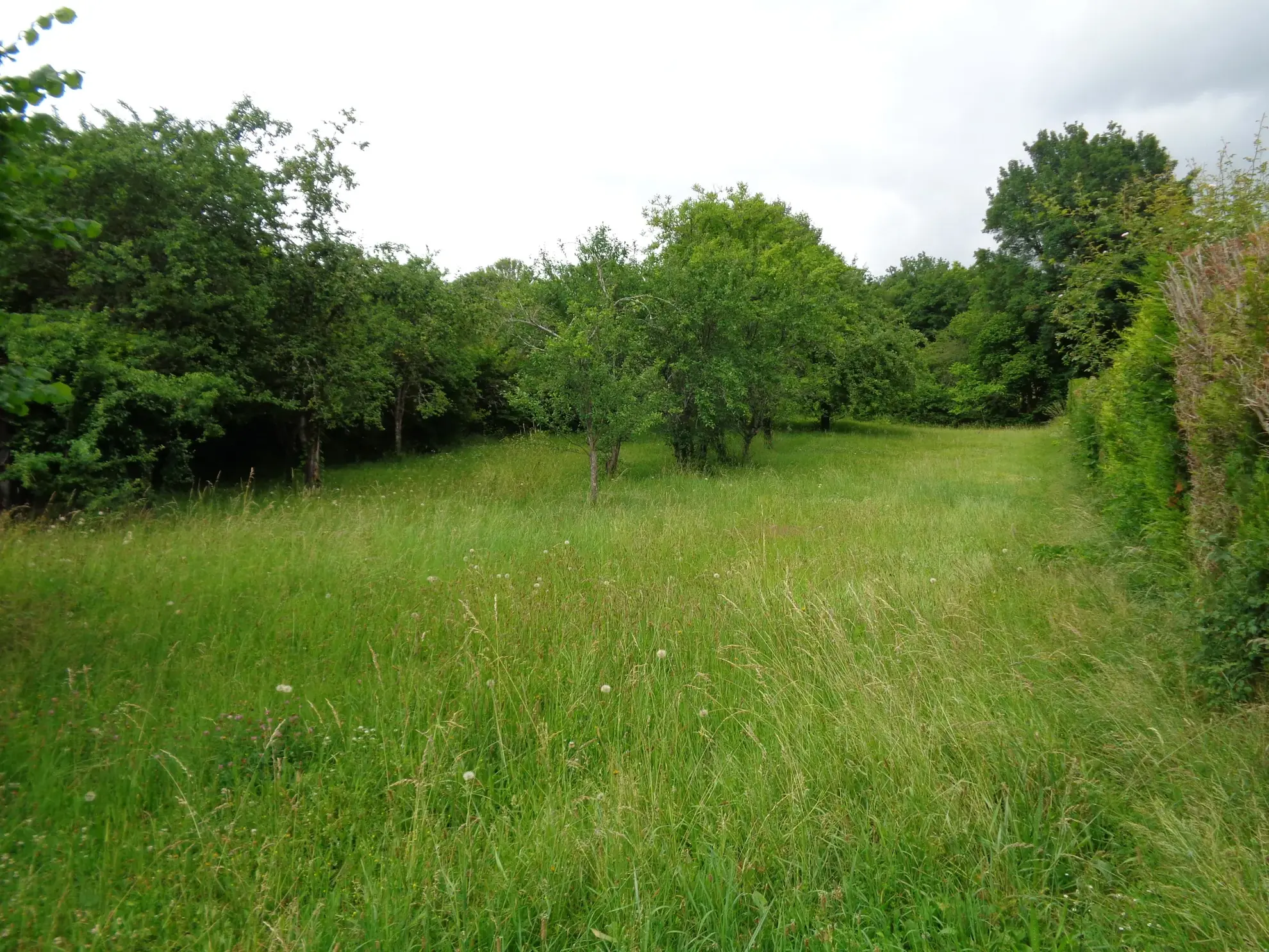 Maison individuelle de 86 m² avec dépendances à Premery, terrain de 2085 m² 